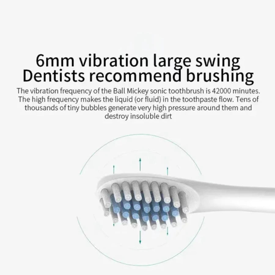 Rechargeable Electric Toothbrush - 6 Modes USB Sonic Toothbrush with 4 Brush Heads