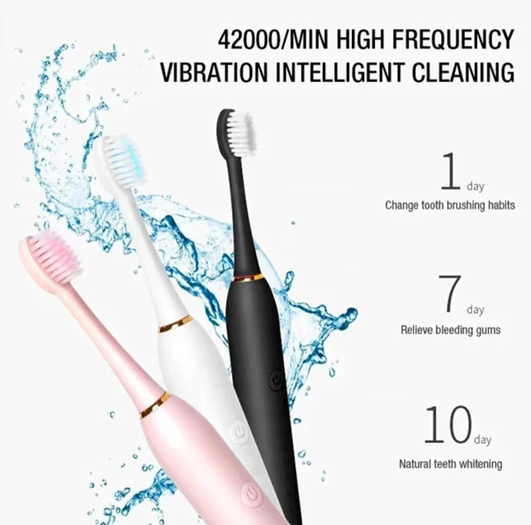 Rechargeable Electric Toothbrush - 6 Modes USB Sonic Toothbrush with 4 Brush Heads