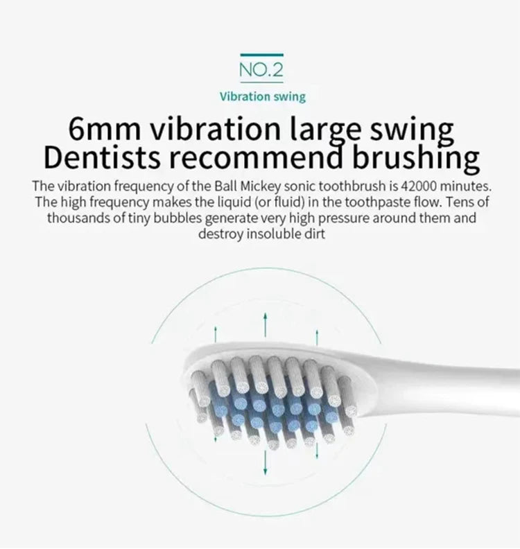 Rechargeable Electric Toothbrush - 6 Modes USB Sonic Toothbrush with 4 Brush Heads